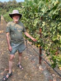 Adam Tolmach experimental vines